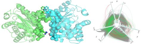 Modeling of protein-protein interactions | Computational Systems Biology Group