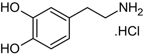 Dopamine hydrochloride, Endogenous neurotransmitter (CAS 62-31-7) (ab120565)