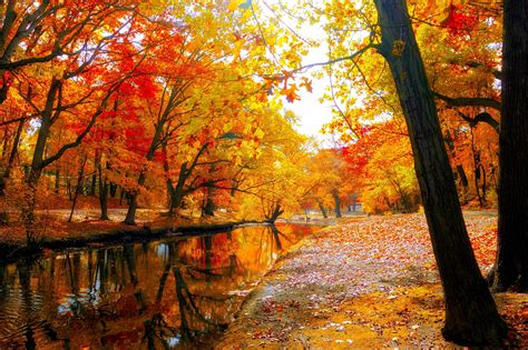 AUTUMN fall landscape nature tree forest leaf leaves wallpaper ...