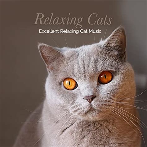 Amazon Music Unlimited - Excellent Relaxing Cat Music 『Relaxing Cats』