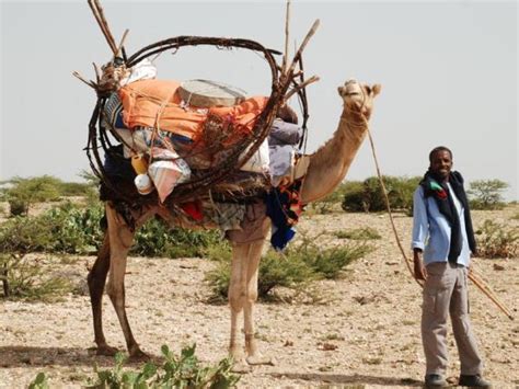 Somaliland cultural tour in Somalia. Helping Dreamers Do