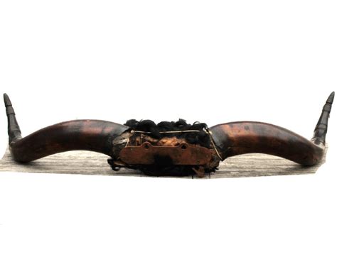 Documentary Oxen Horns | 548766 | Sellingantiques.co.uk