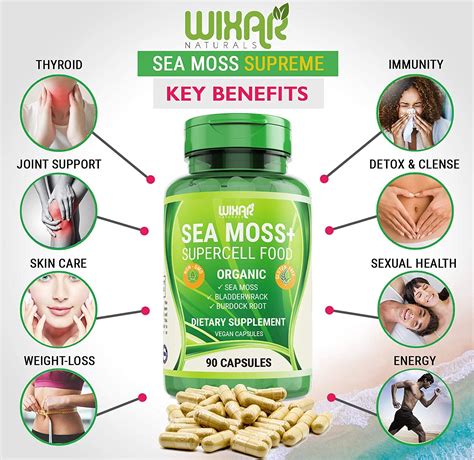 Sea Moss, Bladderwrack & Burdock Root Health Benefits – Eat Algae