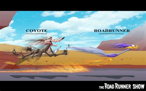 Wile E. Coyote And The Road Runner Wallpapers - Wallpaper Cave