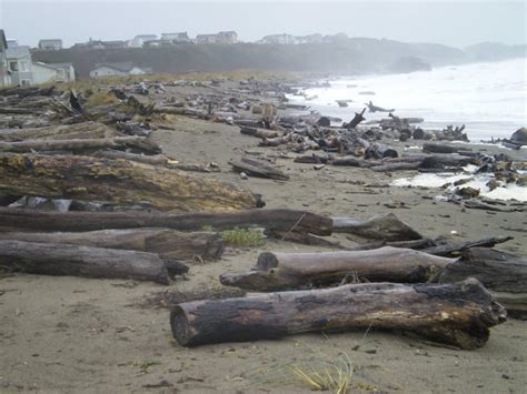 Bandonhome: Surf Fishing Bandon Oregon