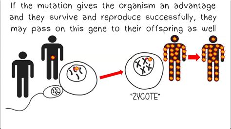 Which Mutations Get Passed Onto Offspring? Best 16 Answer - Ecurrencythailand.com