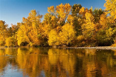 Boise River Fall | Gorgeous colors along the Boise River wit… | Flickr