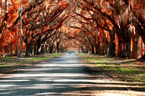 10 Best Places to Experience Fall in South Carolina - Southern Trippers