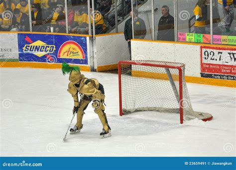 [59 Teams in 59 Days] The Clarkson University Golden Knights : r/hockey