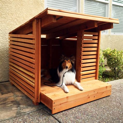 Cool Dog Houses Designs