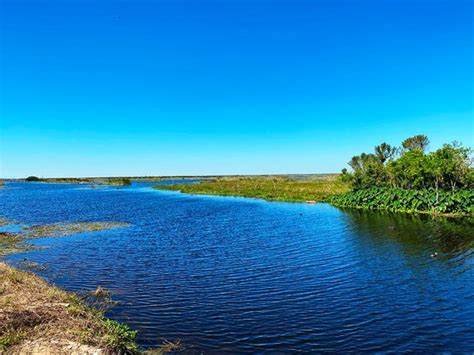 Lake Apopka Wildlife Trail - 2020 All You Need to Know BEFORE You Go (with Photos) - Tripadvisor