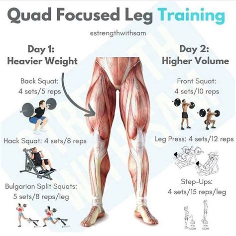 Quad focused leg training!! . . For daily dose of motivation follow @fittness_motivation01 . # ...