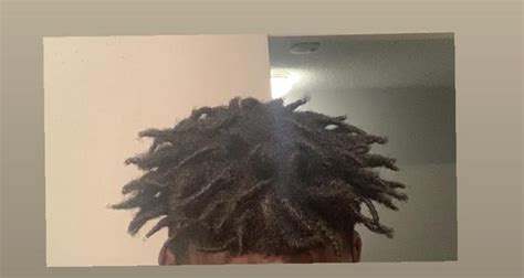 Started my free forms about 4-5 months ago & I really like how they’re coming 🙂 : r/Dreadlocks