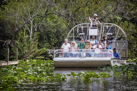 Miami Everglades Airboat Adventure With Transport - Transport Informations Lane