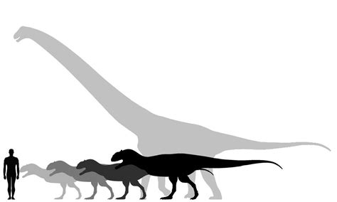 Majungasaurus Size Comparison by JakeSutton7 on DeviantArt