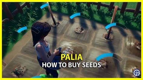 How To Buy Seeds In Palia (Blueberry & Apple Seeds) - Esports Zip