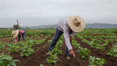 Interdisciplinary Grant to Strengthen Agricultural Health and Safety ...