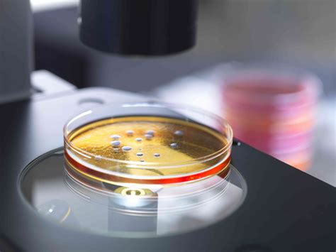 Understanding Microbiology