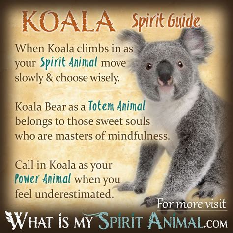 Koala Bear Spirit Totem and Power Animal Symbolism & Meaning - What Is ...