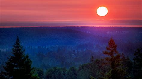 Wonderful sunset, forest, sunset, orange, blue, HD wallpaper | Peakpx