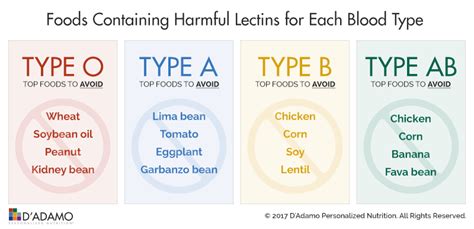 Lectins and Blood Types - ☯️ Body and Mind Studio International®