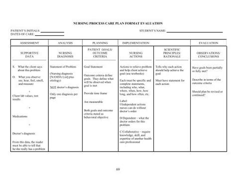 Nursing Care Plan Format Explanation