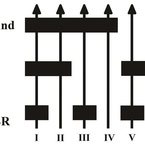 A schematic showing possible combinations of locations of the dust. The... | Download Scientific ...