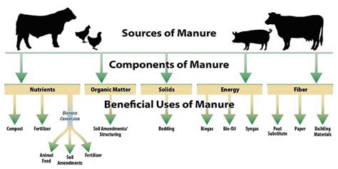 Animal Feeding Operations - Uses of Manure | US EPA