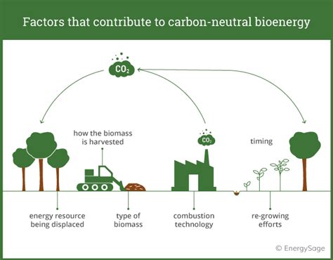 Environmental Impacts of Biomass | EnergySage