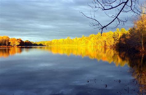 Autumn in Maine Photograph by Tony Pushard - Fine Art America