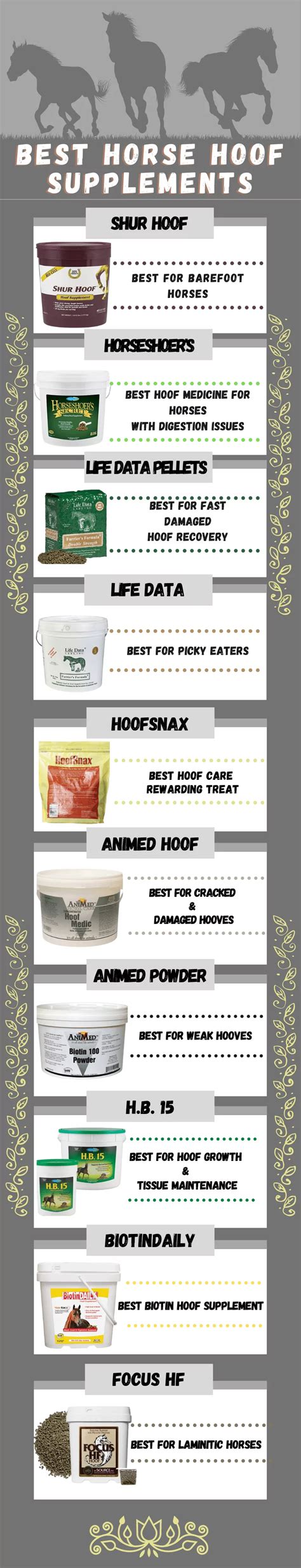 The 10 Best HOOF SUPPLEMENTS For Horses