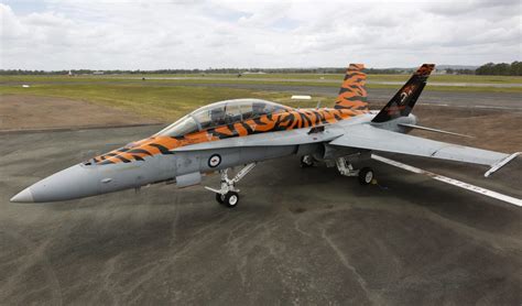 The RAAF Prepares for Its Final Year of Operating the Classic Hornet - Second Line of Defense