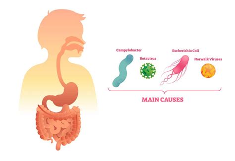 Introduction to Biological Food Hazards