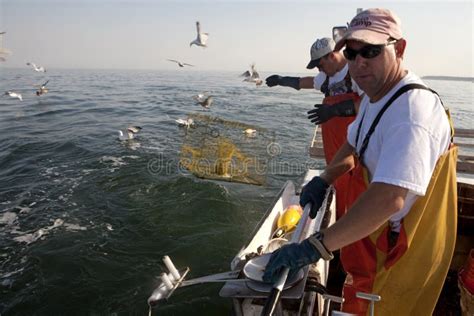 Fishermen at sea editorial image. Image of fishing, ocean - 42971155