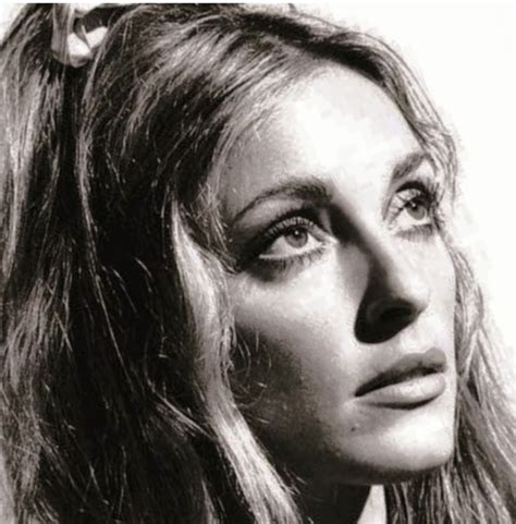 Pin by Terry Yates on Sharon tate in 2023 | Sharon tate style, Sharon ...