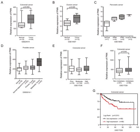 PNN overexpressed in tumors and is associated with the prognosis of... | Download Scientific Diagram