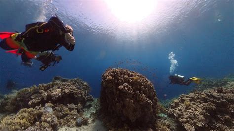 Scuba Diving in Sharm el-Sheikh, Egypt | Backpacker Travel