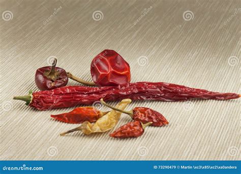 Different Kinds of Dried Chili Peppers. Dried Red Chili Peppers. Hot Spices To Food. Stock Image ...