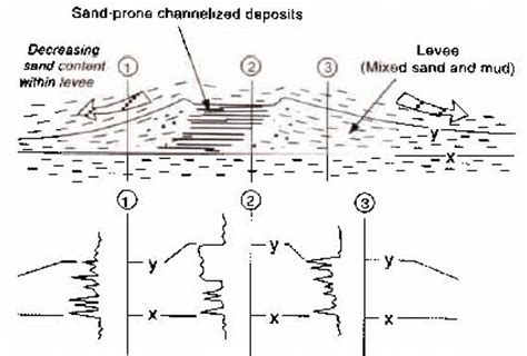 Schematic cross-section through a channel-levee complex illustrating... | Download Scientific ...