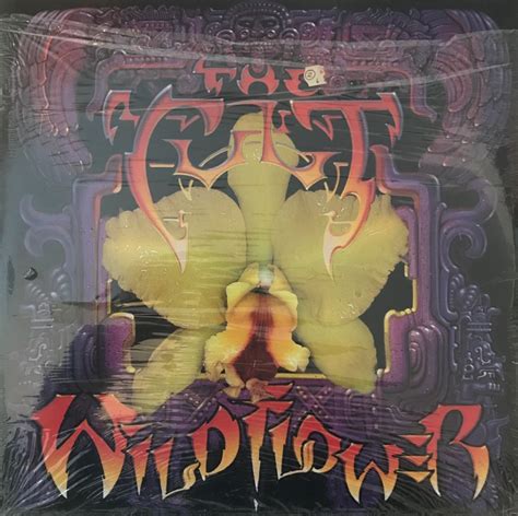 The Cult – “Wild Flower” – 12″ Single – 2 Loud 2 Old Music