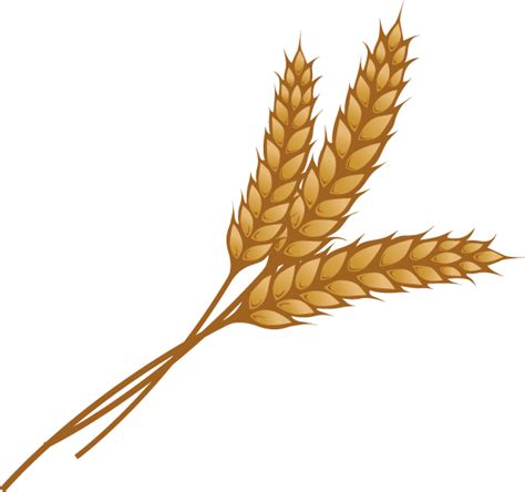 Stalk wheat clipart 20 free Cliparts | Download images on Clipground 2024