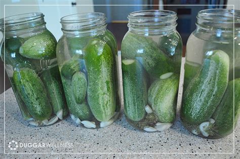 Fermented Pickles - Duggar Wellness