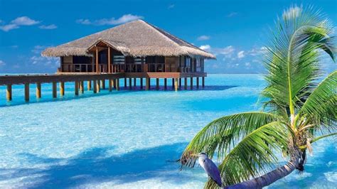 Family Holidays to Maldives 2018 / 2019 | Thomson now TUI