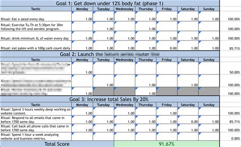 12 Week Year Spreadsheet with regard to Case Study On The 12 Week Year — db-excel.com