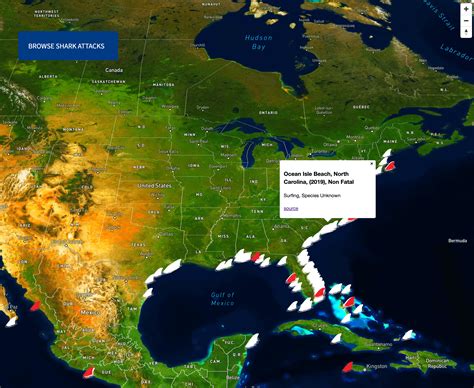 Shark Interactive Map: Species, Attack, & Location : r/Maps