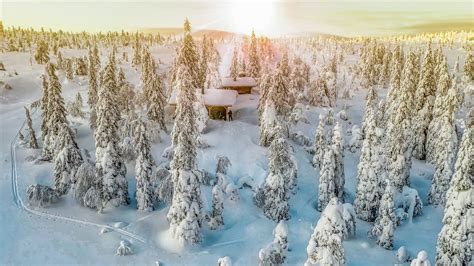 Snow Covered Lapland in Finland · Free Stock Photo