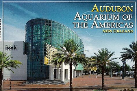 Audubon Aquarium of the Americas, New Orleans | DeeDeeQ5724 | Flickr