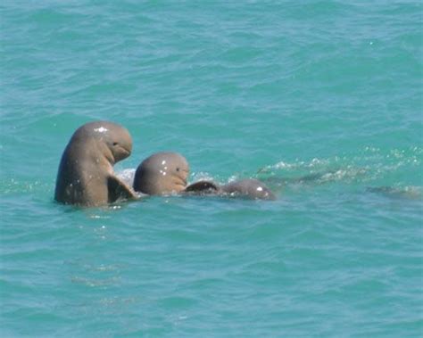 Roebuck Bay | Australia's North West