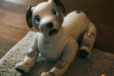 Sony's New Aibo Robot Dog Is Adorable & Expensive - Lowyat.NET