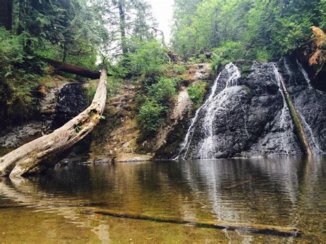 Cherry Creek Falls | Waterfall, Go hiking, Cherry creek